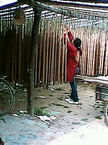 河南竹木加工廠 竹簽、二手制香機與營林機械制造的綜合服務